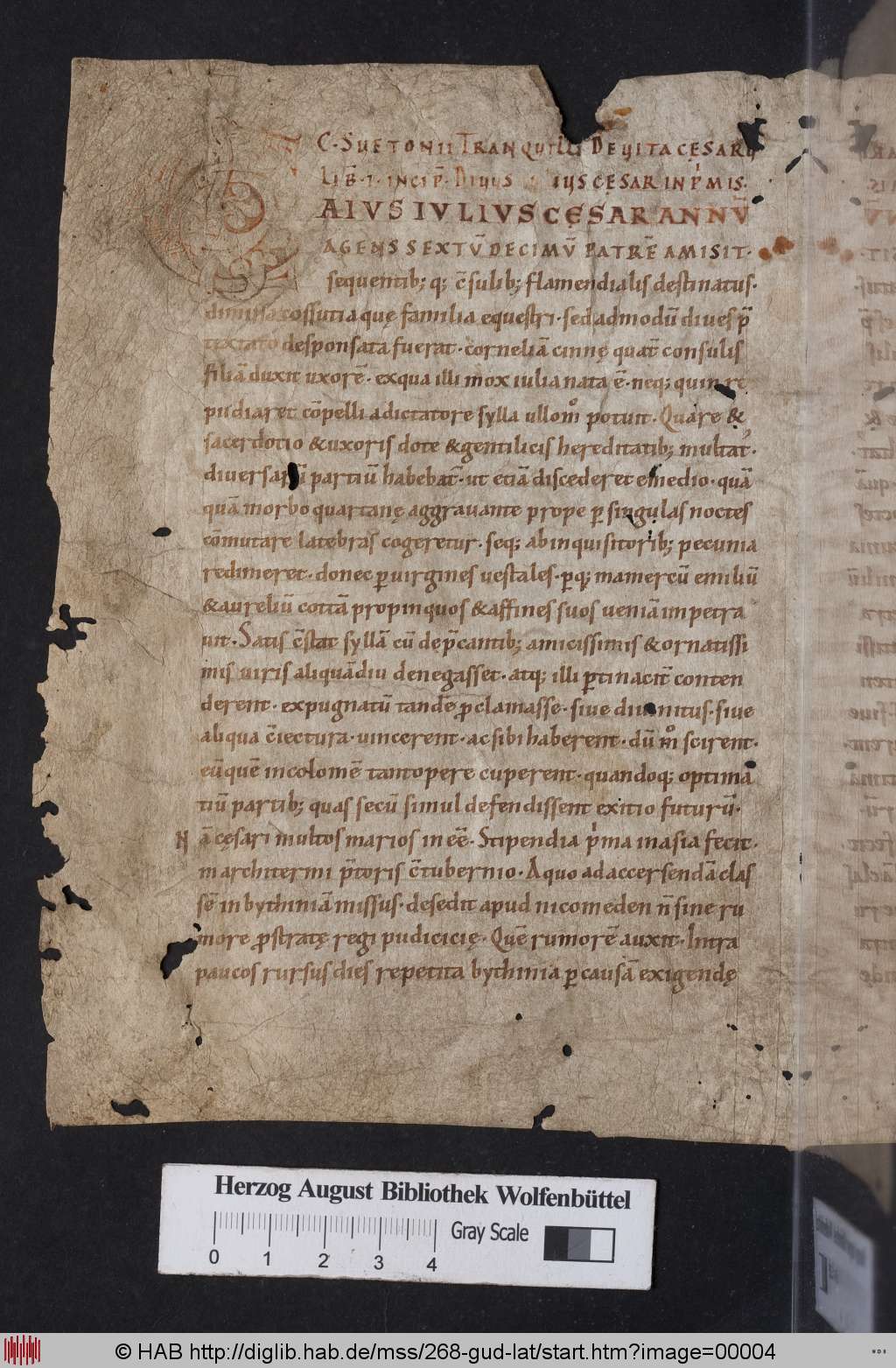 Fol. 1v of Cod. Guelf. 268 Gud. lat., opening of Suetonius's De vita Caesarum, Eichstätt, second half of the 11th century