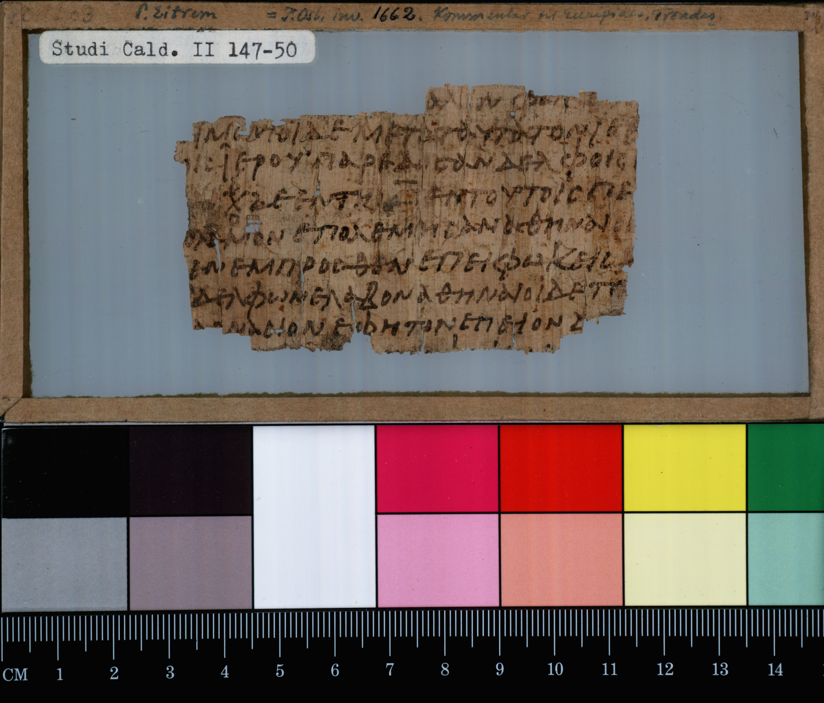P. Oslo inv. 1662, a sixth-century papyrus fragment preserving a commentary on Euripides' Troiades (Trojan Women), lines 9–10. Found in Egypt and written in an informal Greek hand, the fragment overlaps substantially with the medieval scholion tradition while uniquely preserving a direct quotation from Thucydides (1.112.5) and a passage from Philochorus' Atthis absent from all other witnesses.